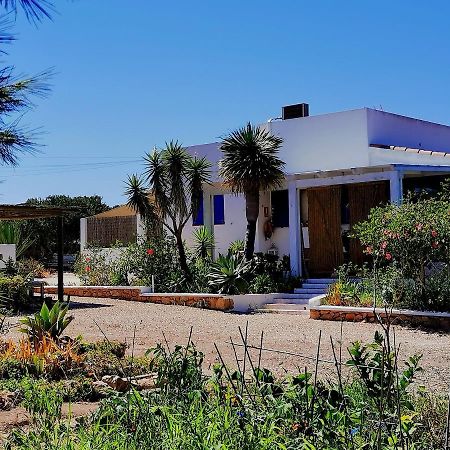 Ca N'Antonia Formentera Villa San Francisco Javier Luaran gambar