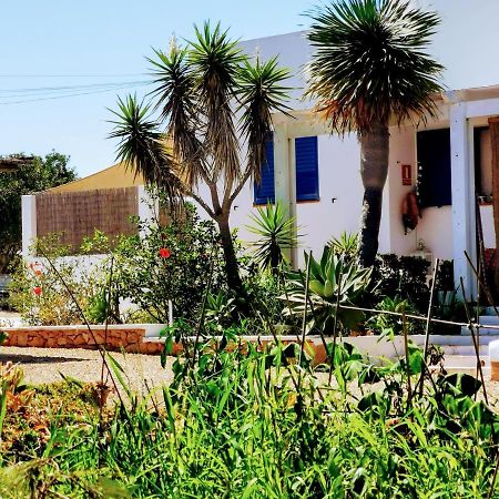 Ca N'Antonia Formentera Villa San Francisco Javier Luaran gambar