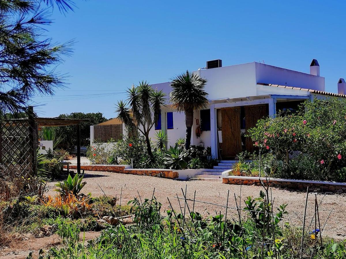 Ca N'Antonia Formentera Villa San Francisco Javier Luaran gambar