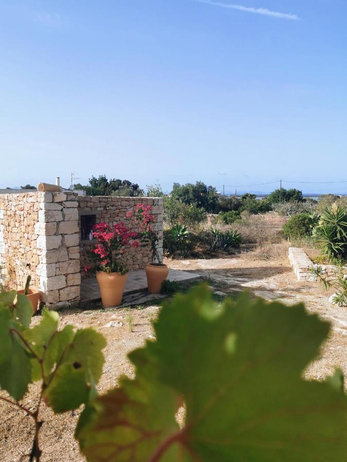 Ca N'Antonia Formentera Villa San Francisco Javier Luaran gambar